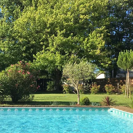 Pensión Avec Salle De Bain Privee De La Canopee De 3*