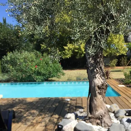 Pensión Avec Salle De Bain Privee De La Canopee De